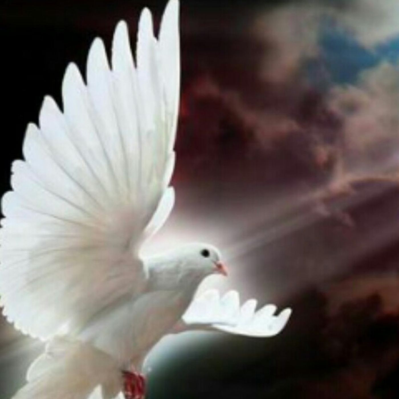 ~Ministry PodCast NetWork~LIVE W/Pstr.R~