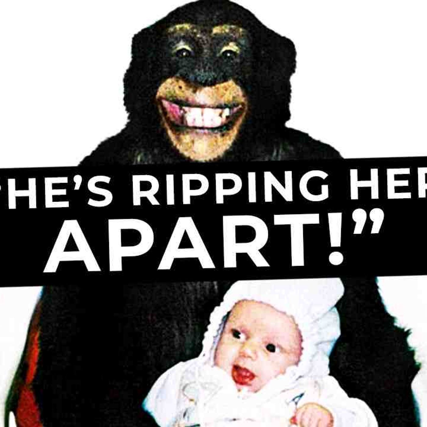 Chimp Goes Absolutely BALLISTIC After Being Given Xanax_ Travis the Chimp episode artwork