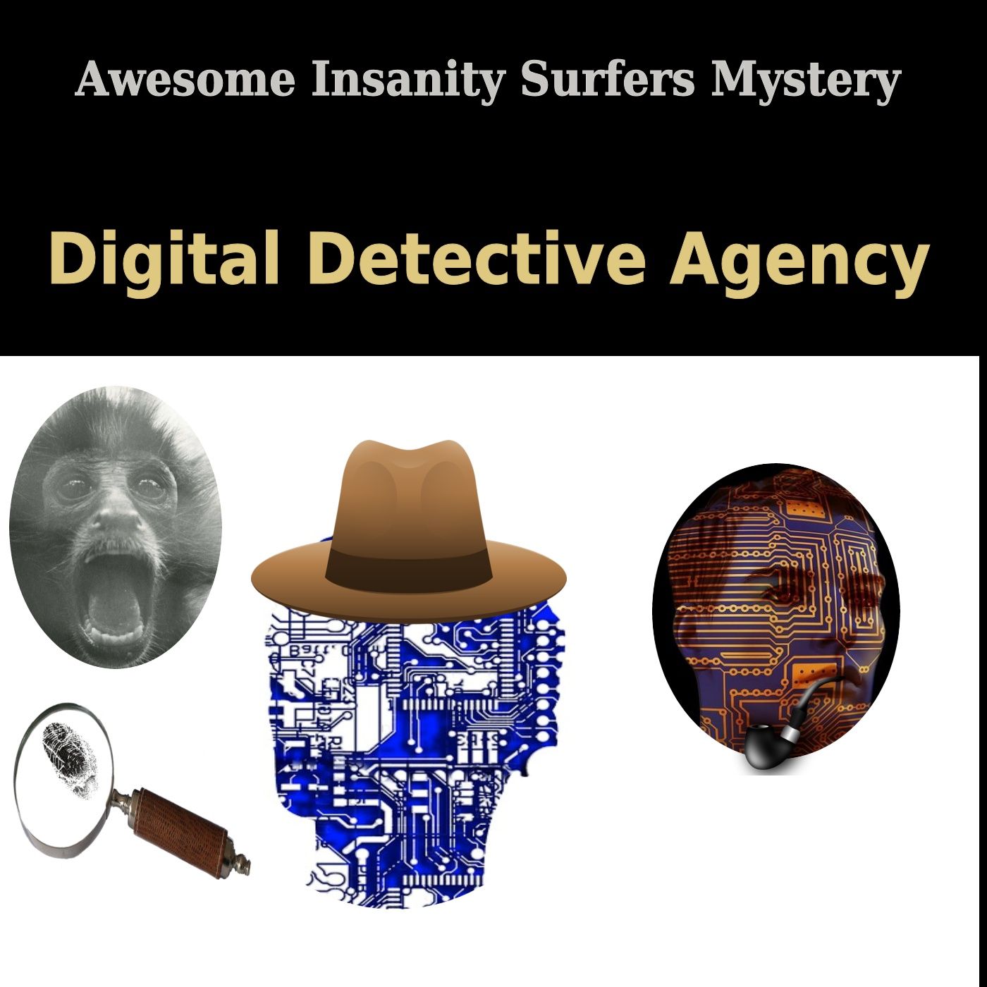 Awesome Insanity Surfer\'s tracks
