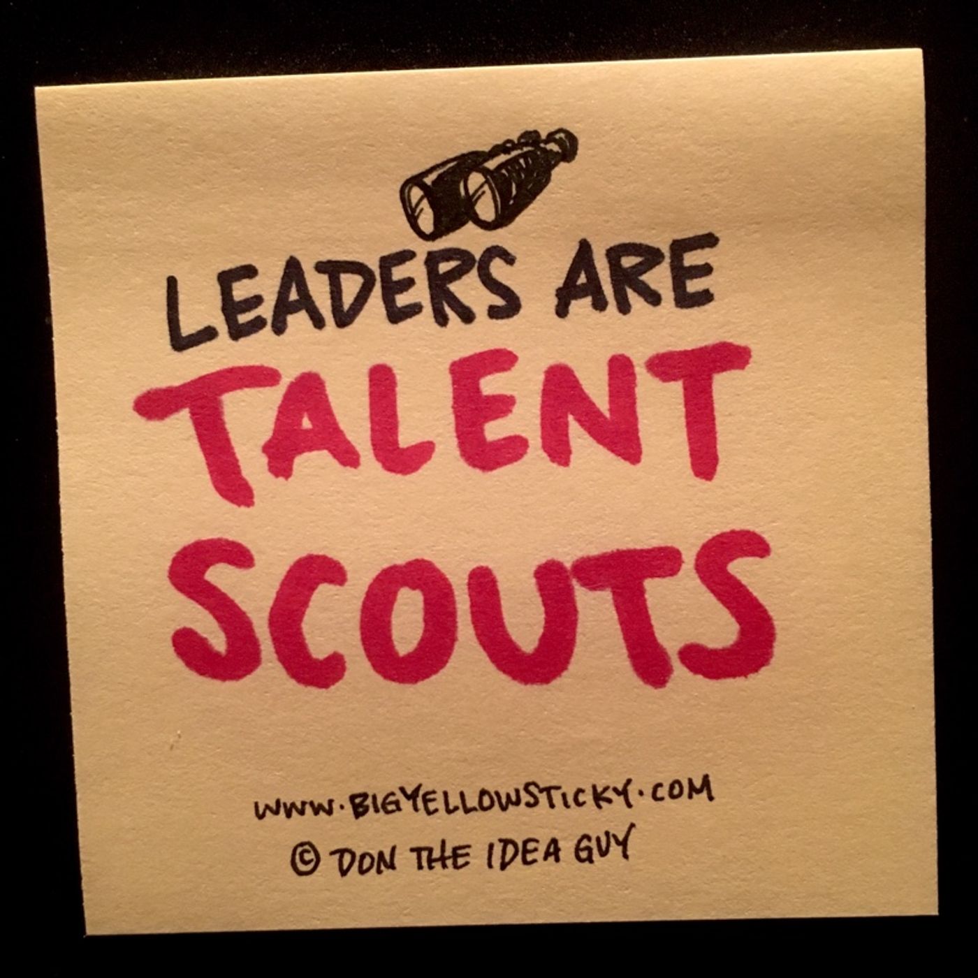 Scout Master : BYS 206