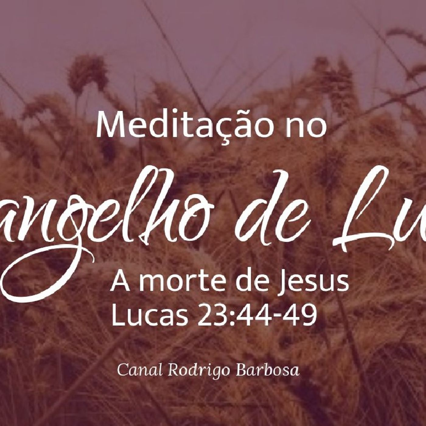 Rodrigo Barbosa