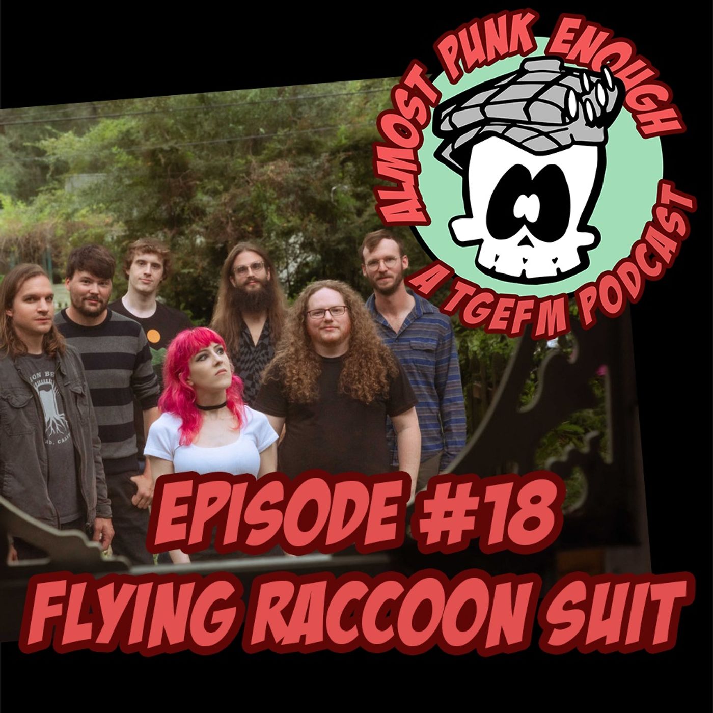 Almost Punk Enough ep. 18 - Flying Raccoon Suit Almost Punk Enough ep. 18 - Flying Raccoon Suit