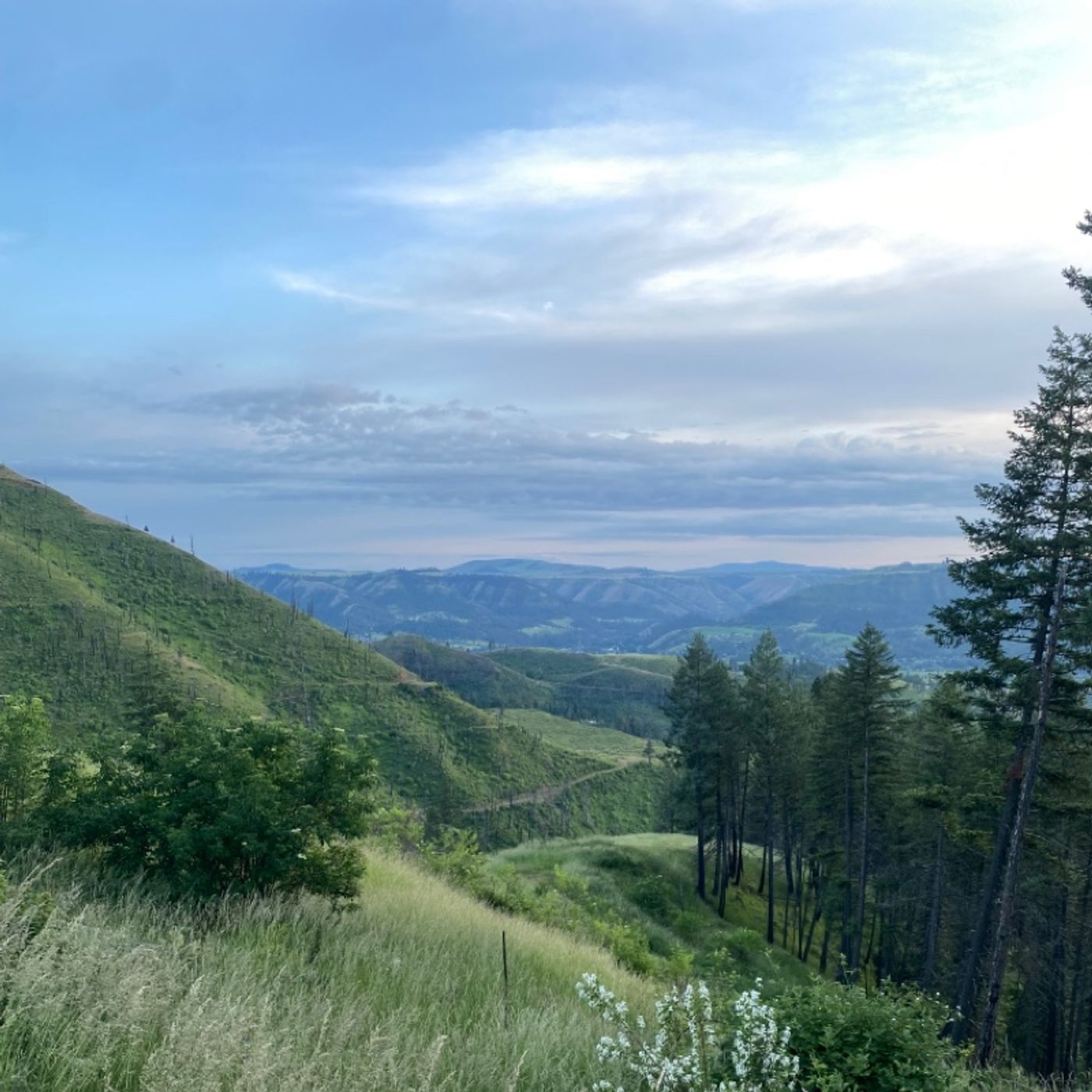 C.O.O.H.M.P. Come Out of Her MY People