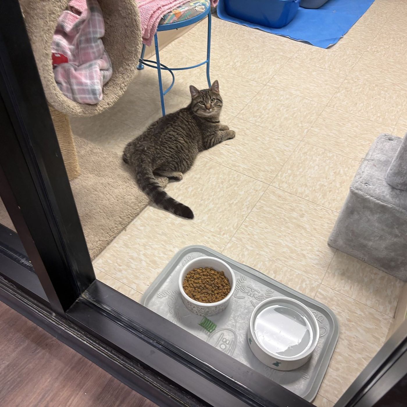 McHenry County Department of Health refurbishes, reopens Crystal Lake clinic, animal control HQ episode artwork