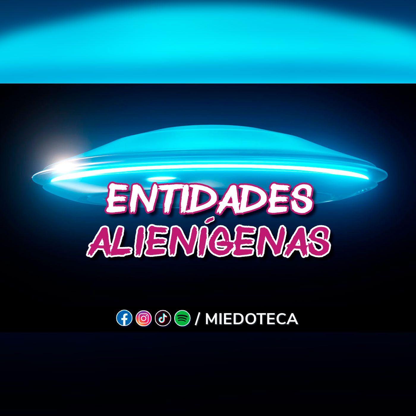 Miedoteca