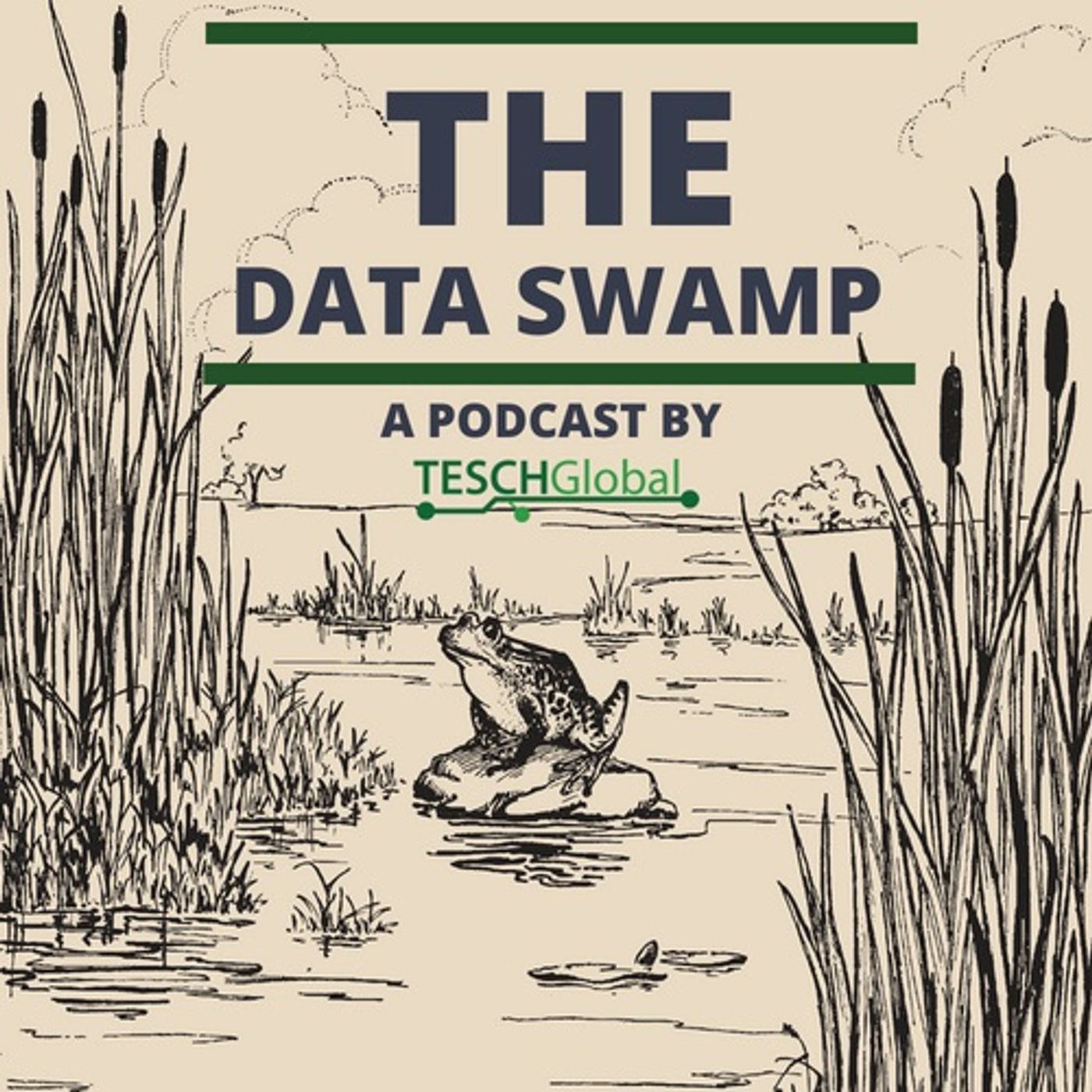 The Data Swamp