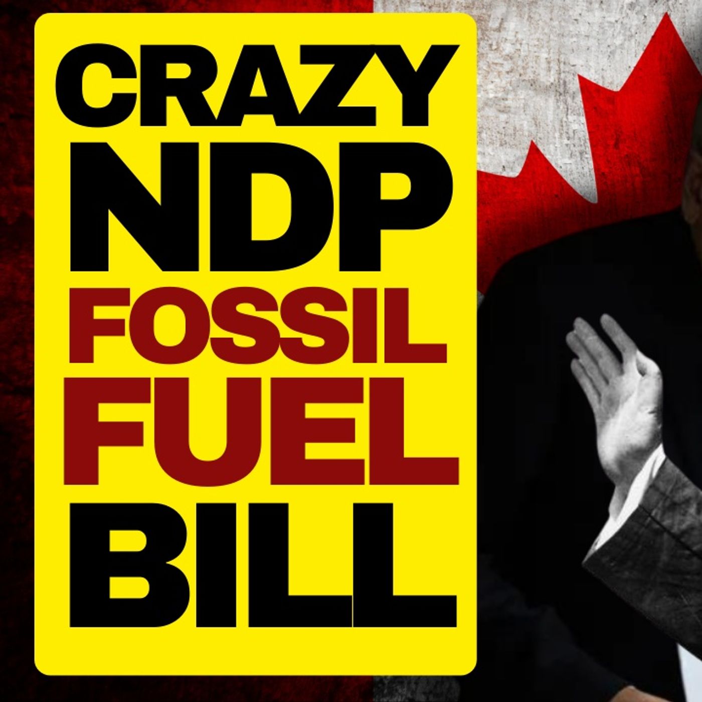 INSANE NDP Bill Would Criminalize Promoting Fossil Fuels episode artwork