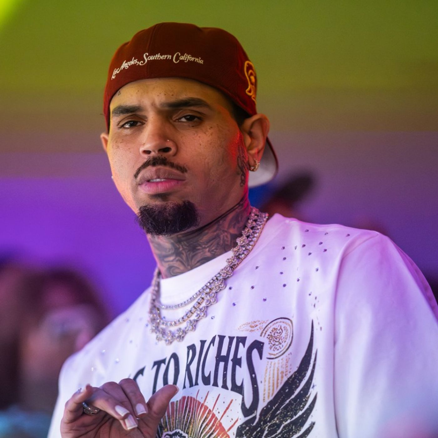 Chris Brown Dog-Mauling Trial Delayed Over Mistrial episode artwork