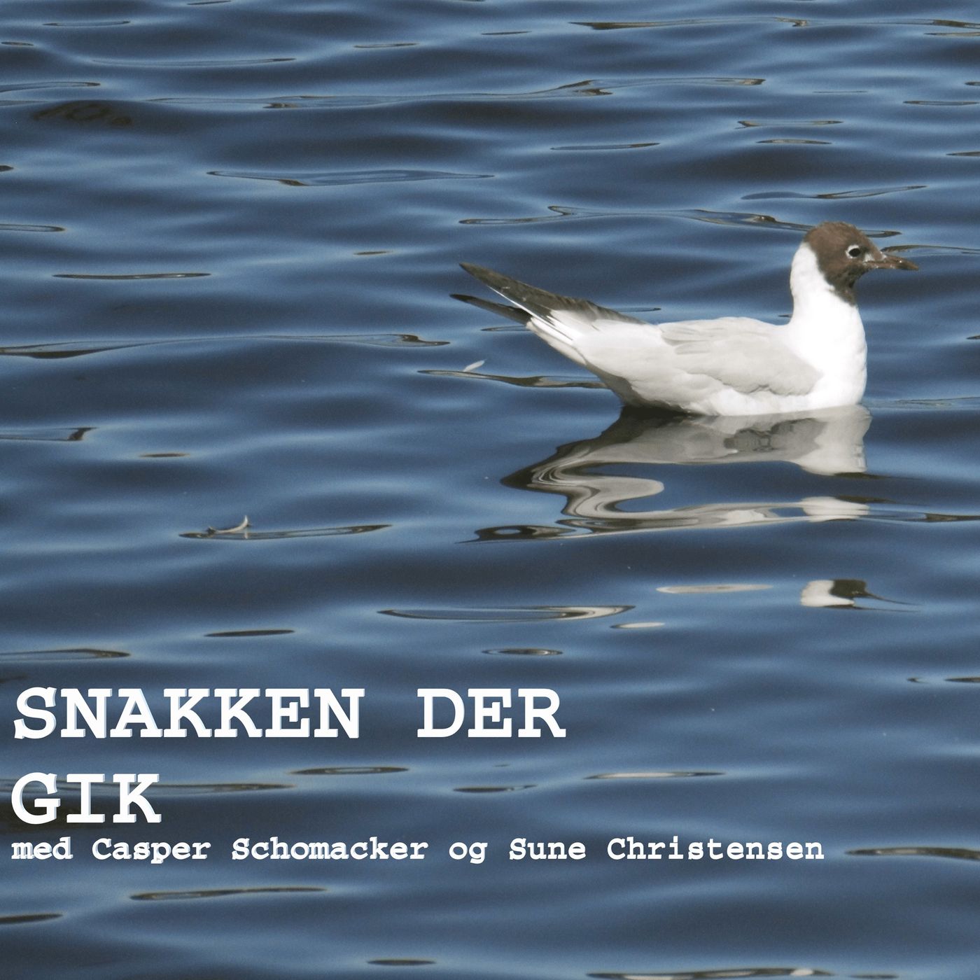 Snakken Der Gik