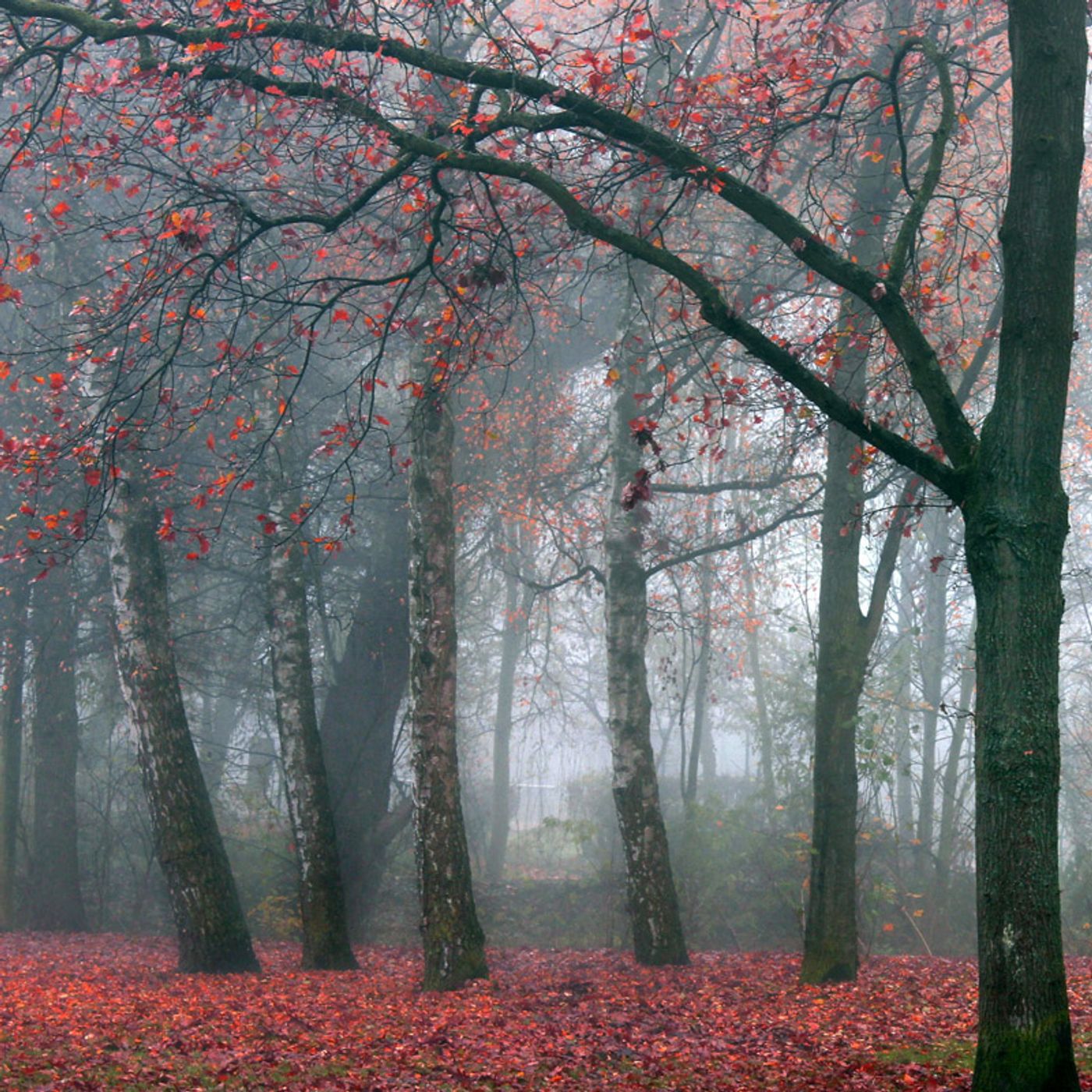 MCU: Married Cinematic Universe cover art