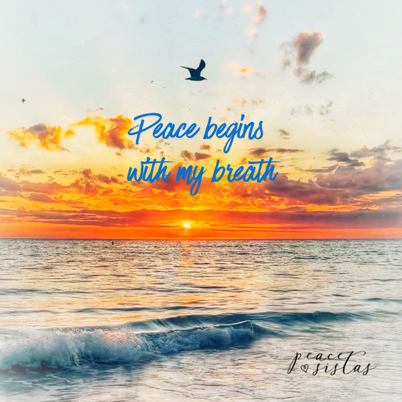 Peace Pause Meditation 3-9-26 episode artwork