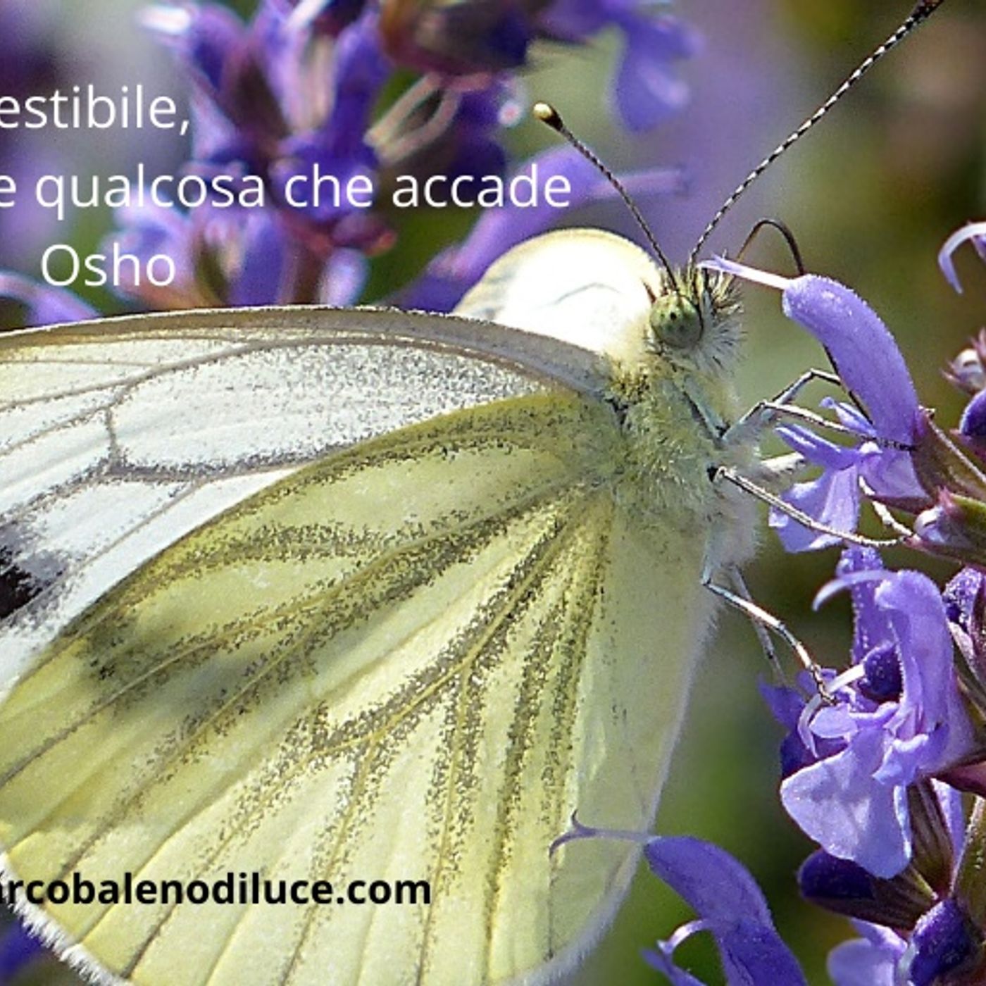 Fiabe e Favole per crescere