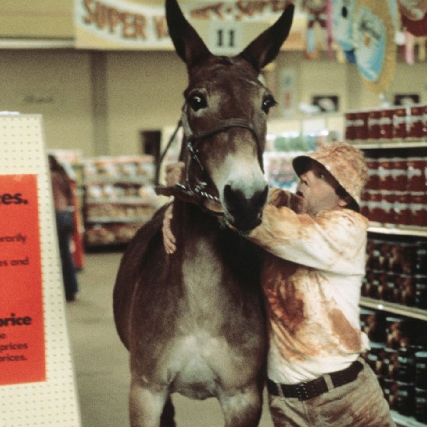 65: Tim Conway, Donkey Fighter