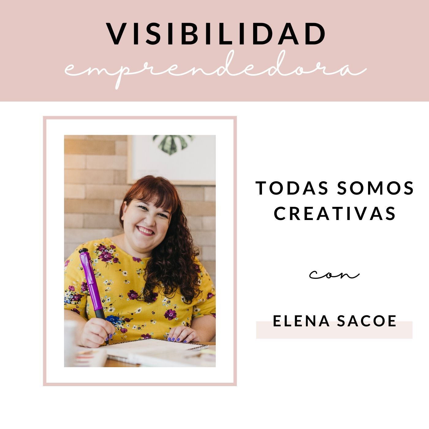 Visibilidad Emprendedora