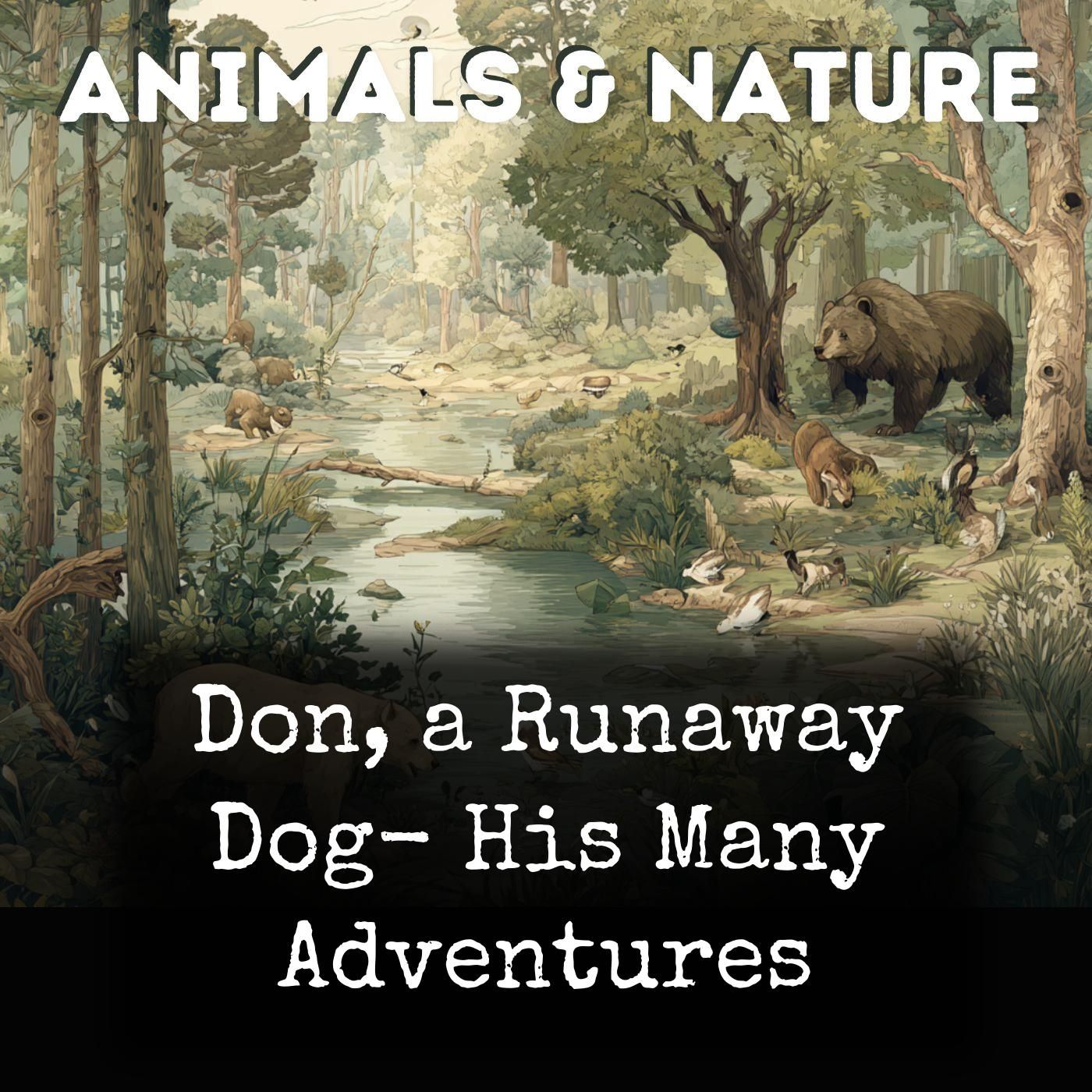 Don, a Runaway Dog- His Many Adventures cover art