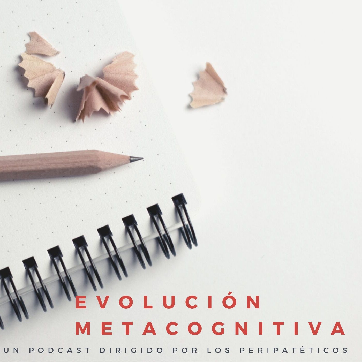 Evolución Metacognitiva