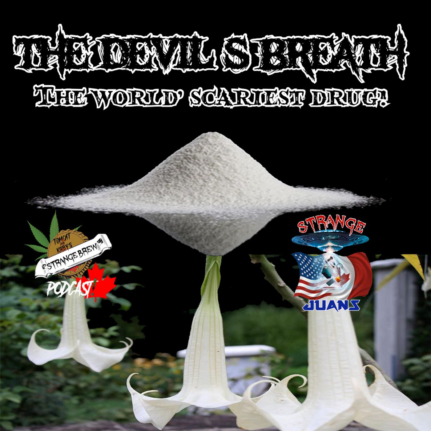 Devils Breath | The World’s Scariest Drug!