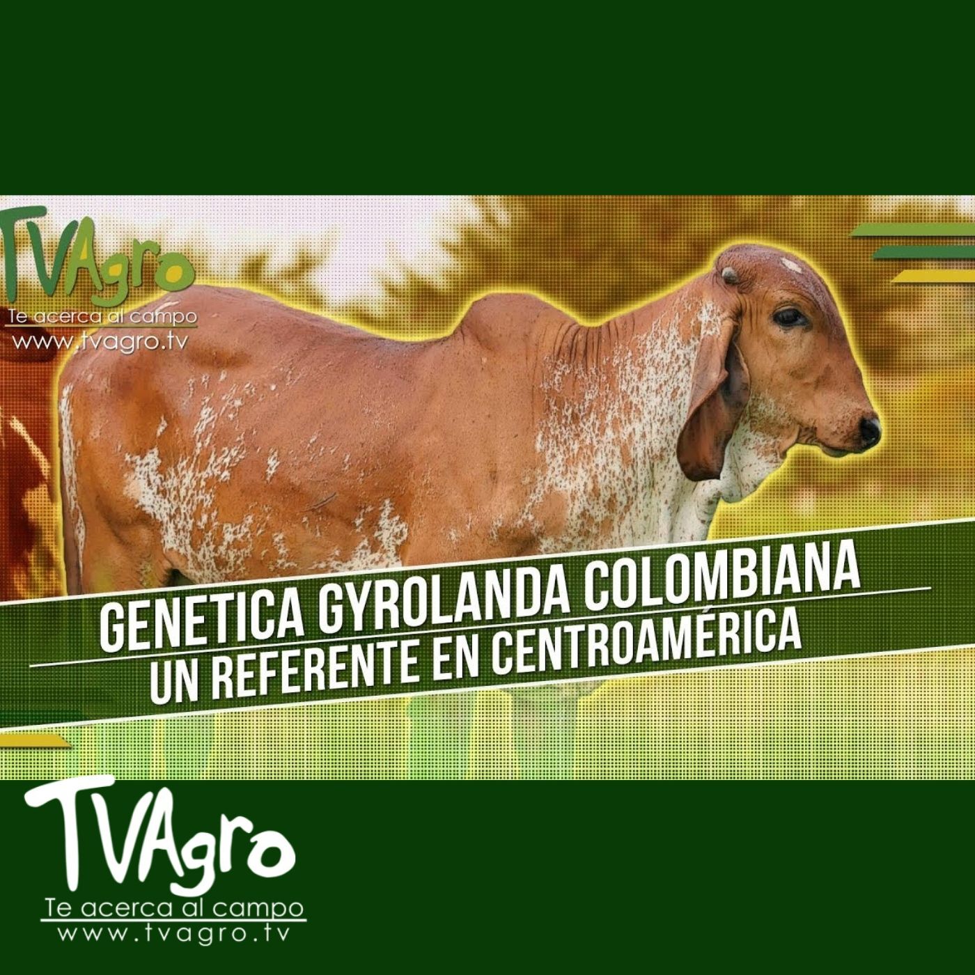 TV AGRO