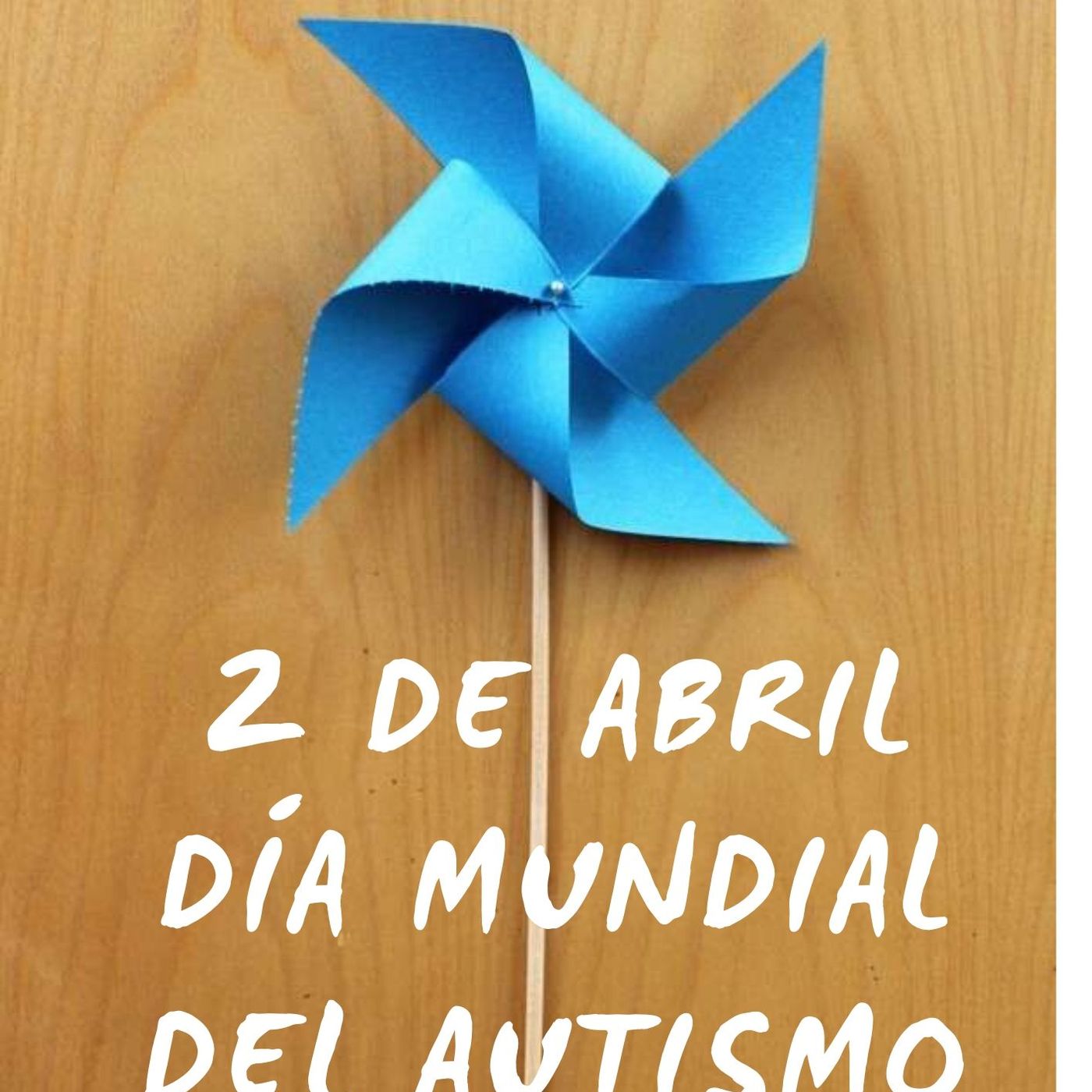 PROGRAMAS
