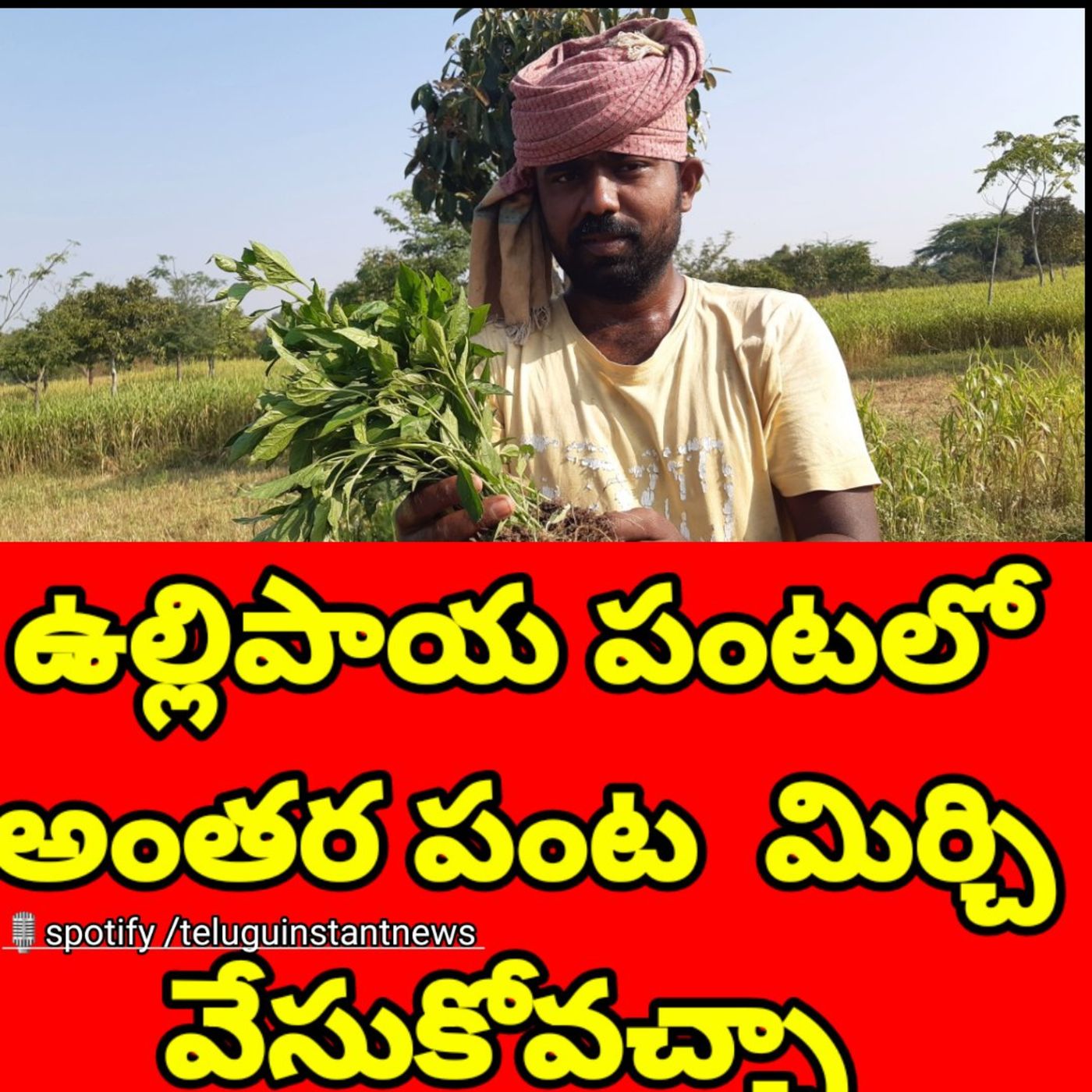 Telugu Instant News