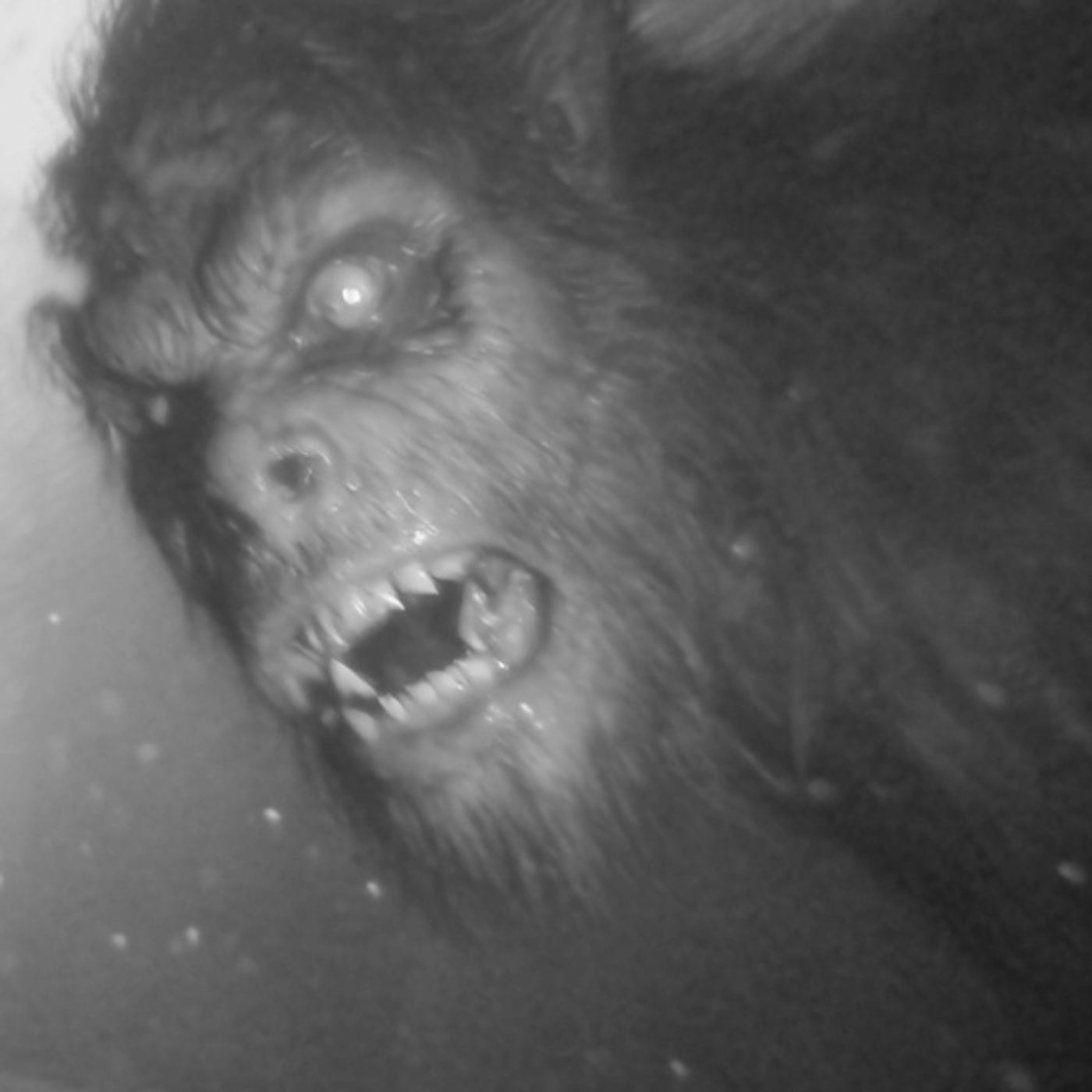 MANADA De NAHUALES Que Me Controlaban Historias De Terror - REDE