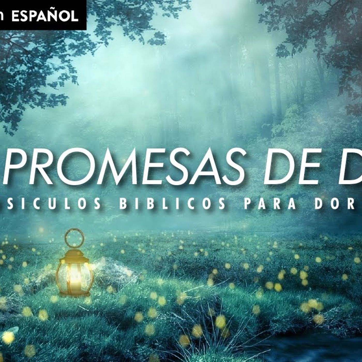 Las Promesas de Dios _ Versiculos Biblicos Para Dormir(M4A_128K)_2 episode artwork