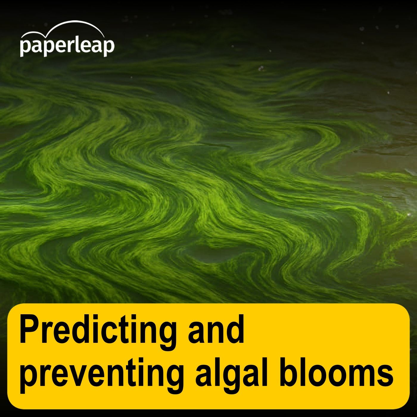Predicting and preventing algal blooms