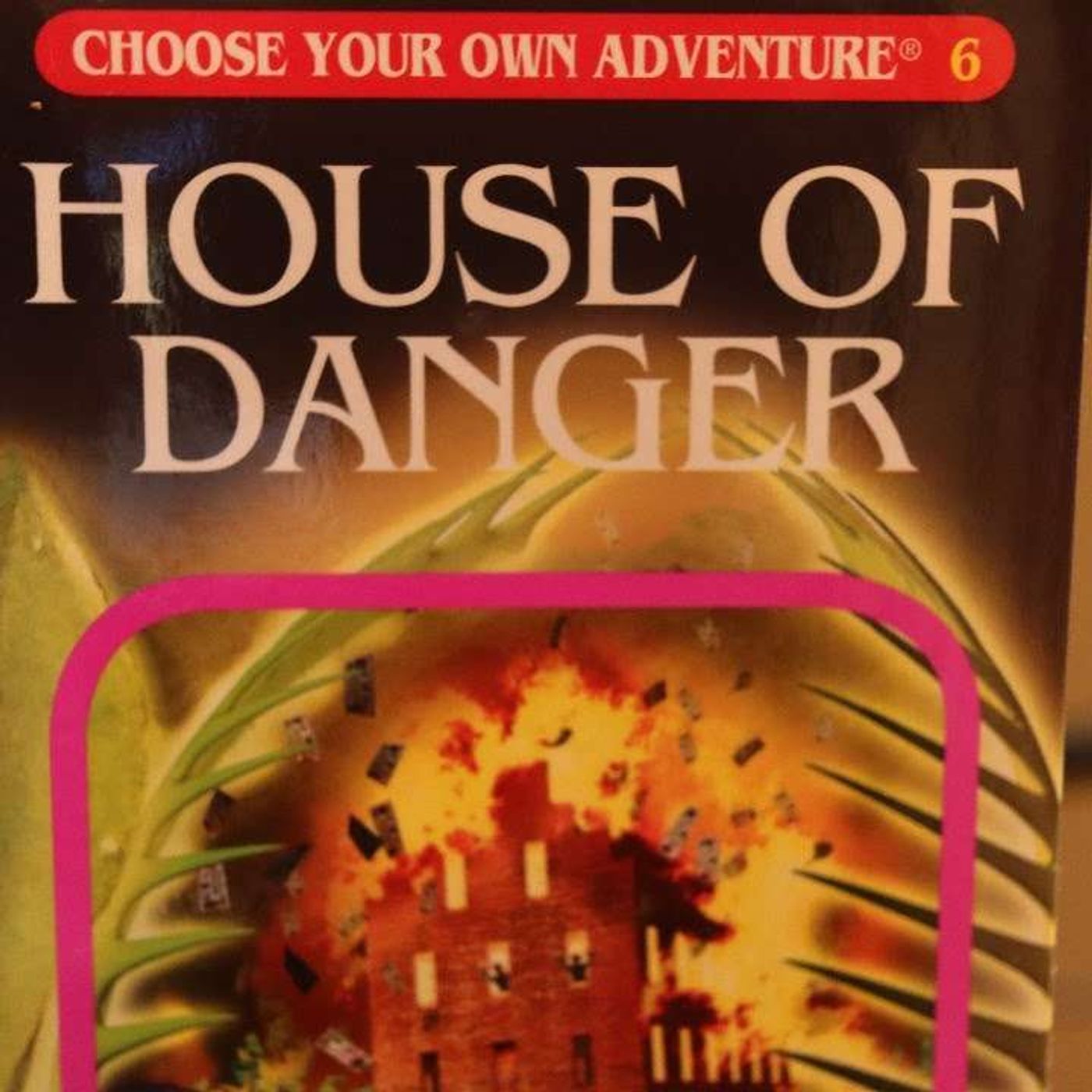 House of Danger | Choose Your Own Adventure
