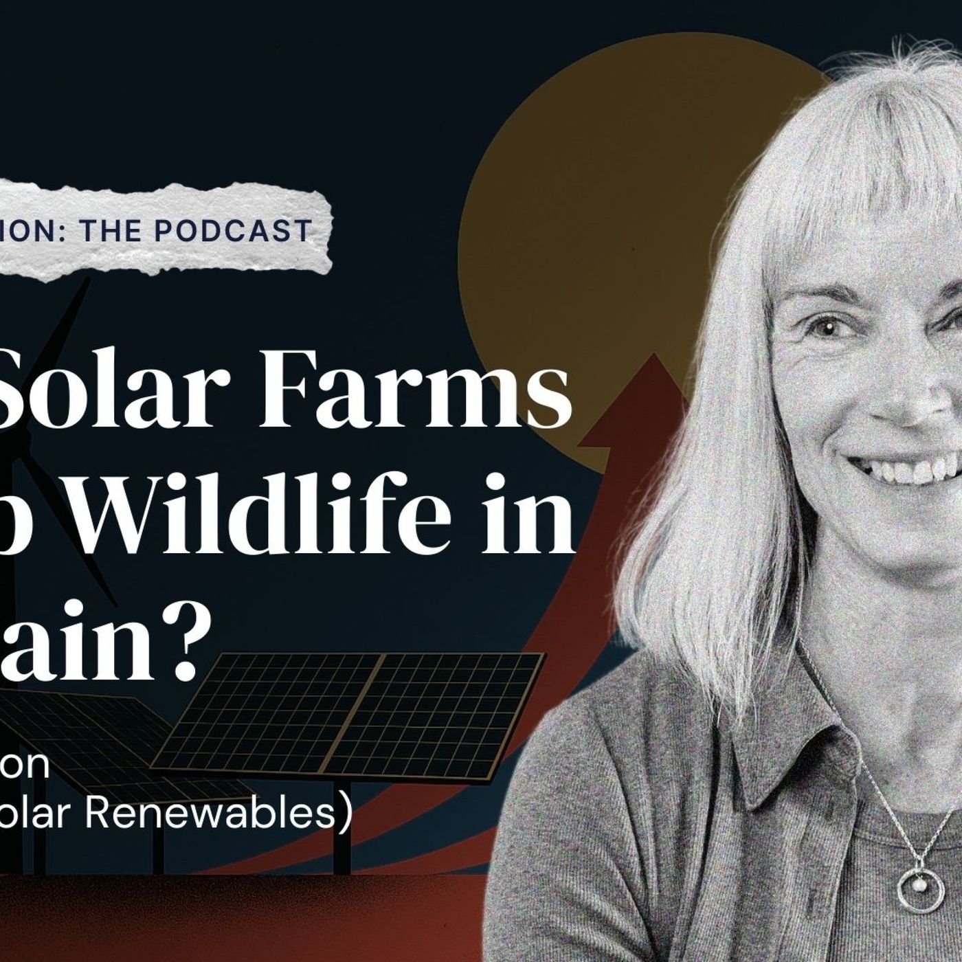 Building biodiversity and solar projects with Fran Button (British Solar Renewables)