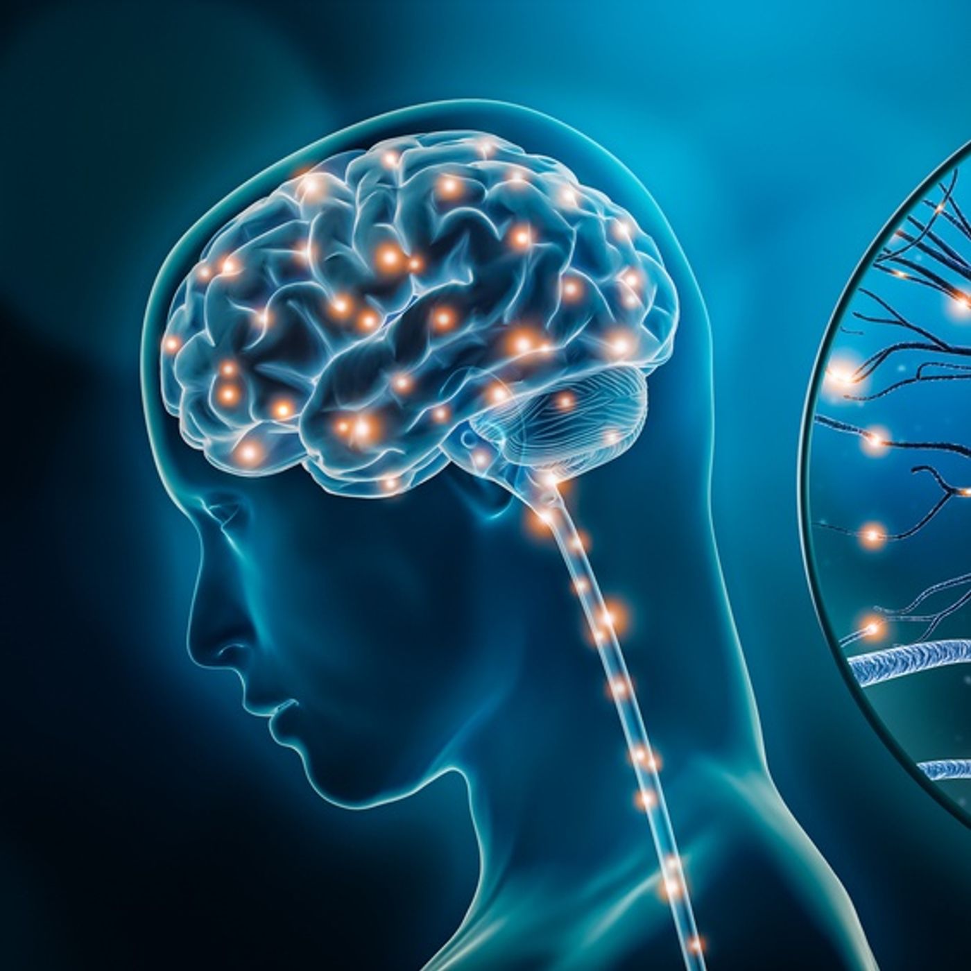 Fitness e neuroscienze episode artwork