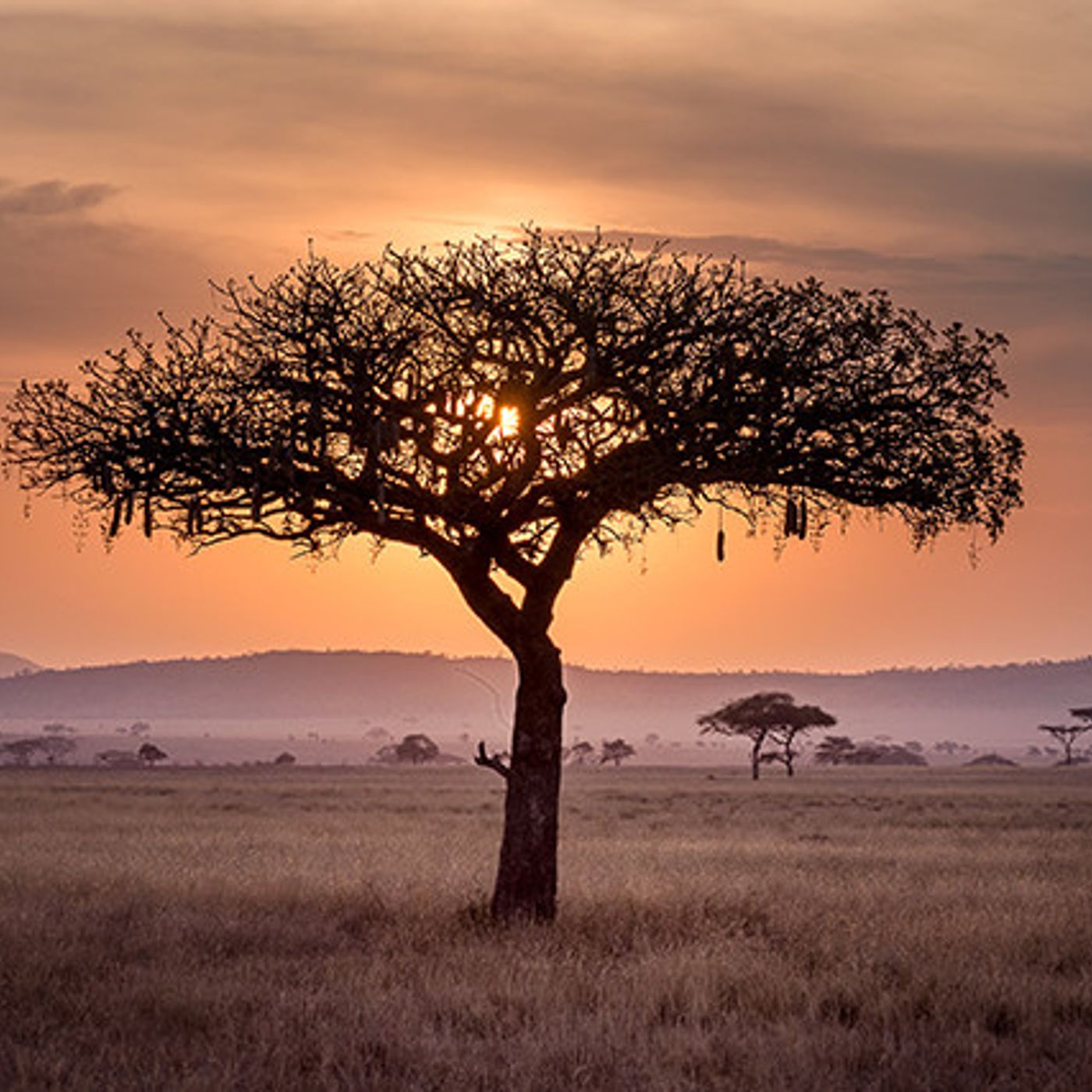 Kinyarwanda