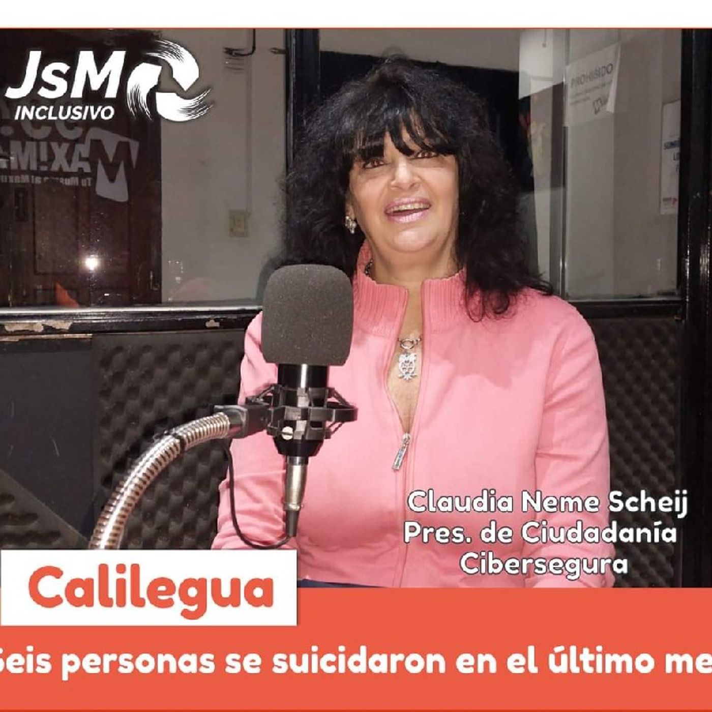 Jujuy se mueve inclusivo
