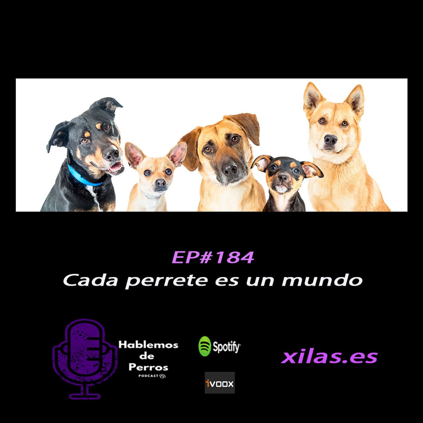 Hablemos de perros