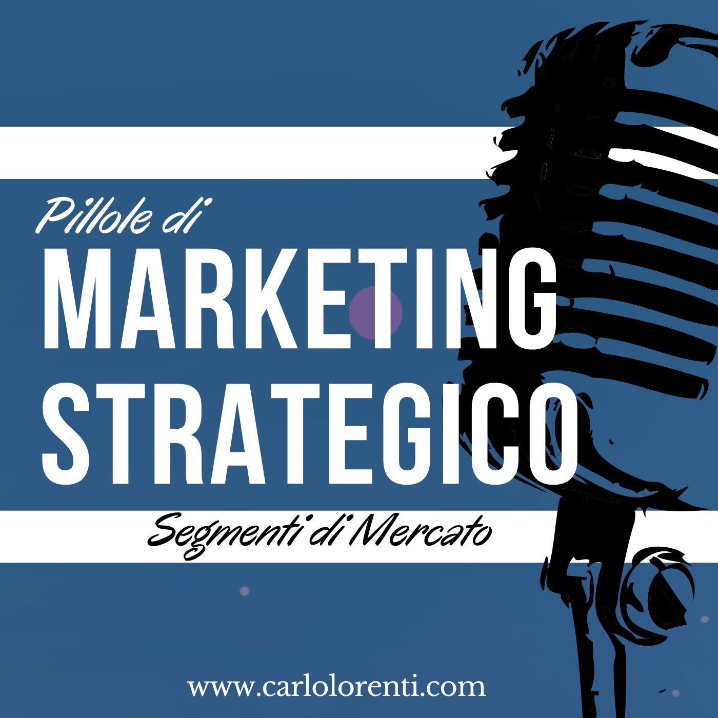 Capitolo  5 - I segmenti di Mercato