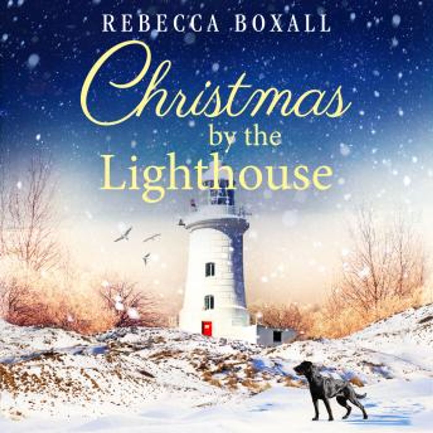 Stream Popular Full Audiobooks in Fiction, Drama