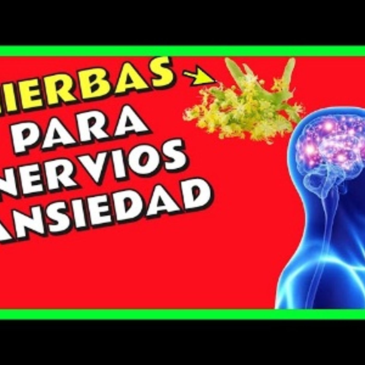 MEDICINA ALTERNATIVA
