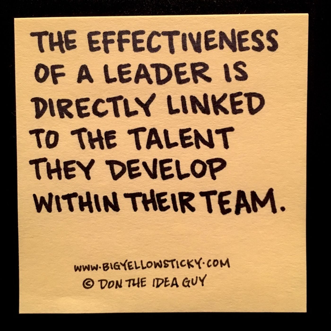 Effective Leaders : BYS 200