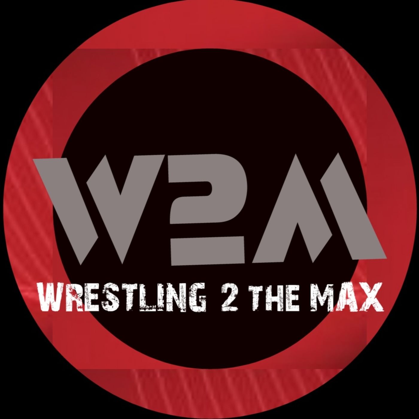 Wrestling 2 the MAX