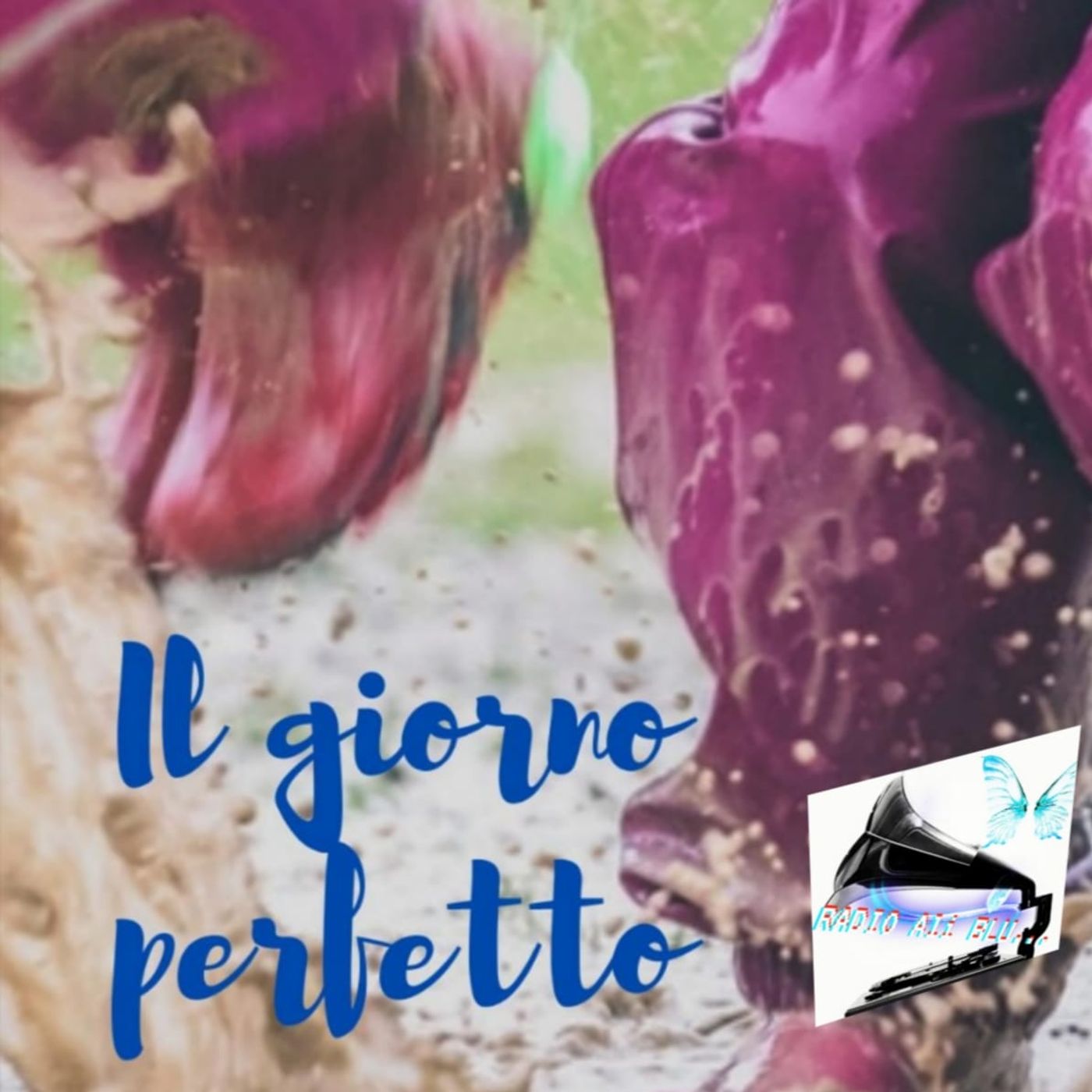 Radio Ali Blu... Il podcast delle emozioni!