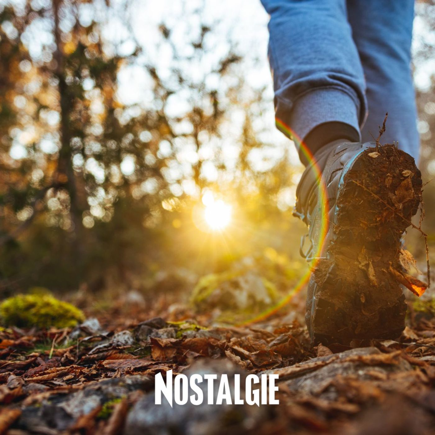 « La chaise tue » : une appli à l'opposé du GPS et autres trucs pour bouger plus « La chaise tue » : une appli à l'opposé du GPS et autres trucs pour bouger plus