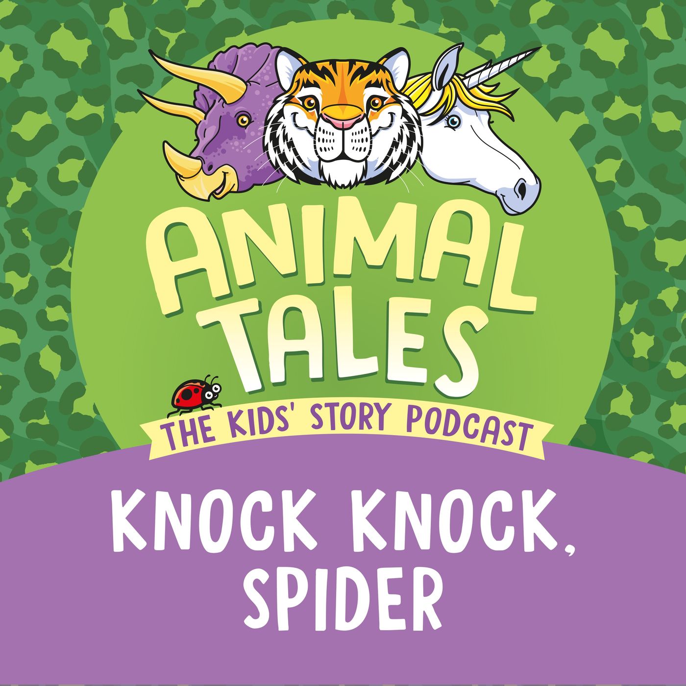 Knock Knock Spider
