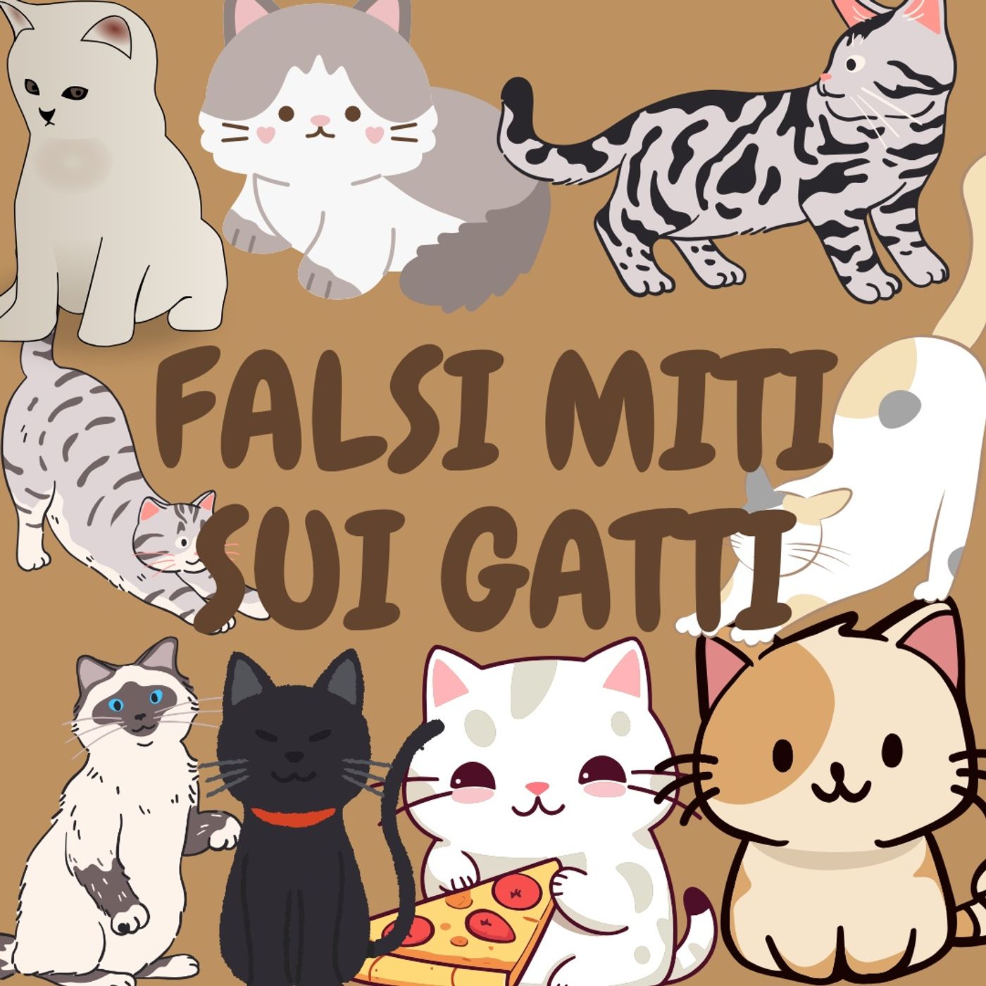 #Villasanta I gatti sono stupidi?