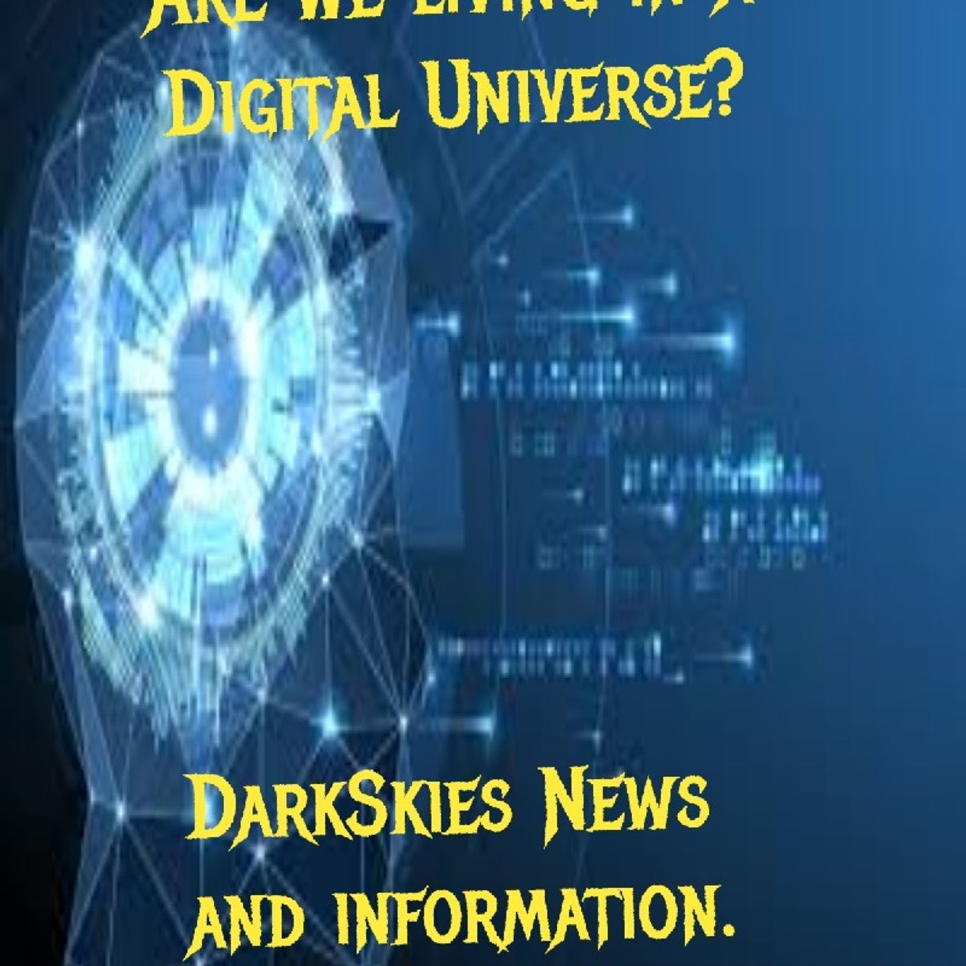 Are We Living In A Digital Universe? Episode 116 - Dark Skies News And information episode artwork
