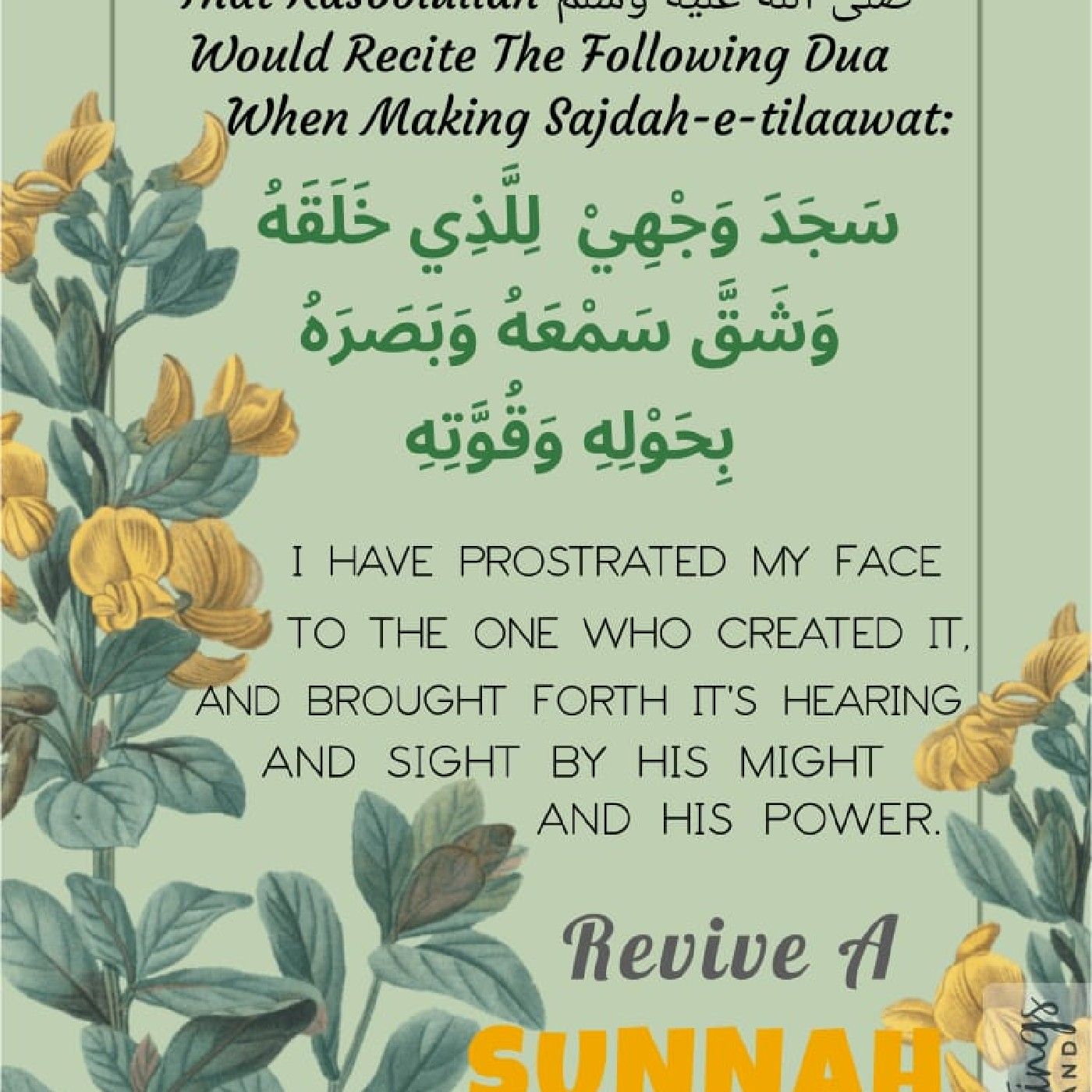 Talibatul ilm podcast podcast artwork