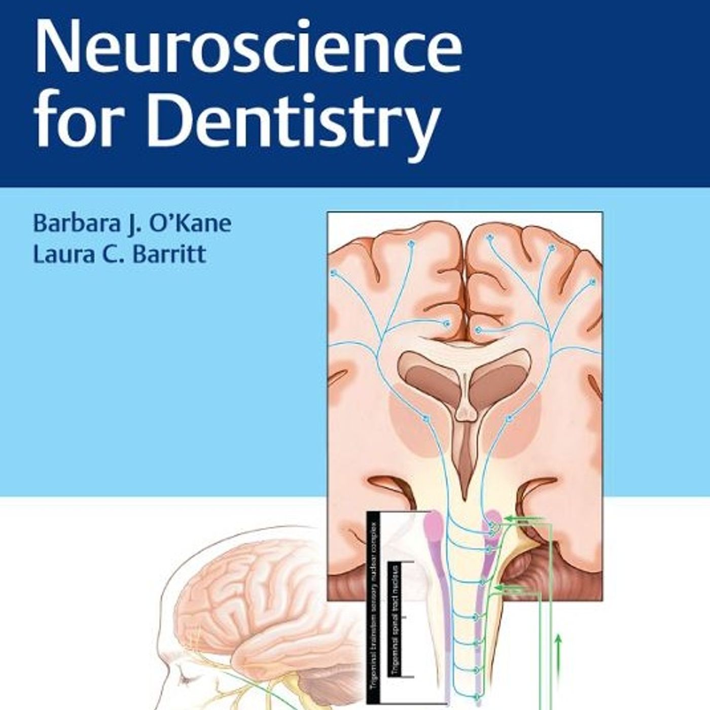 Neuroscience for Dentistry