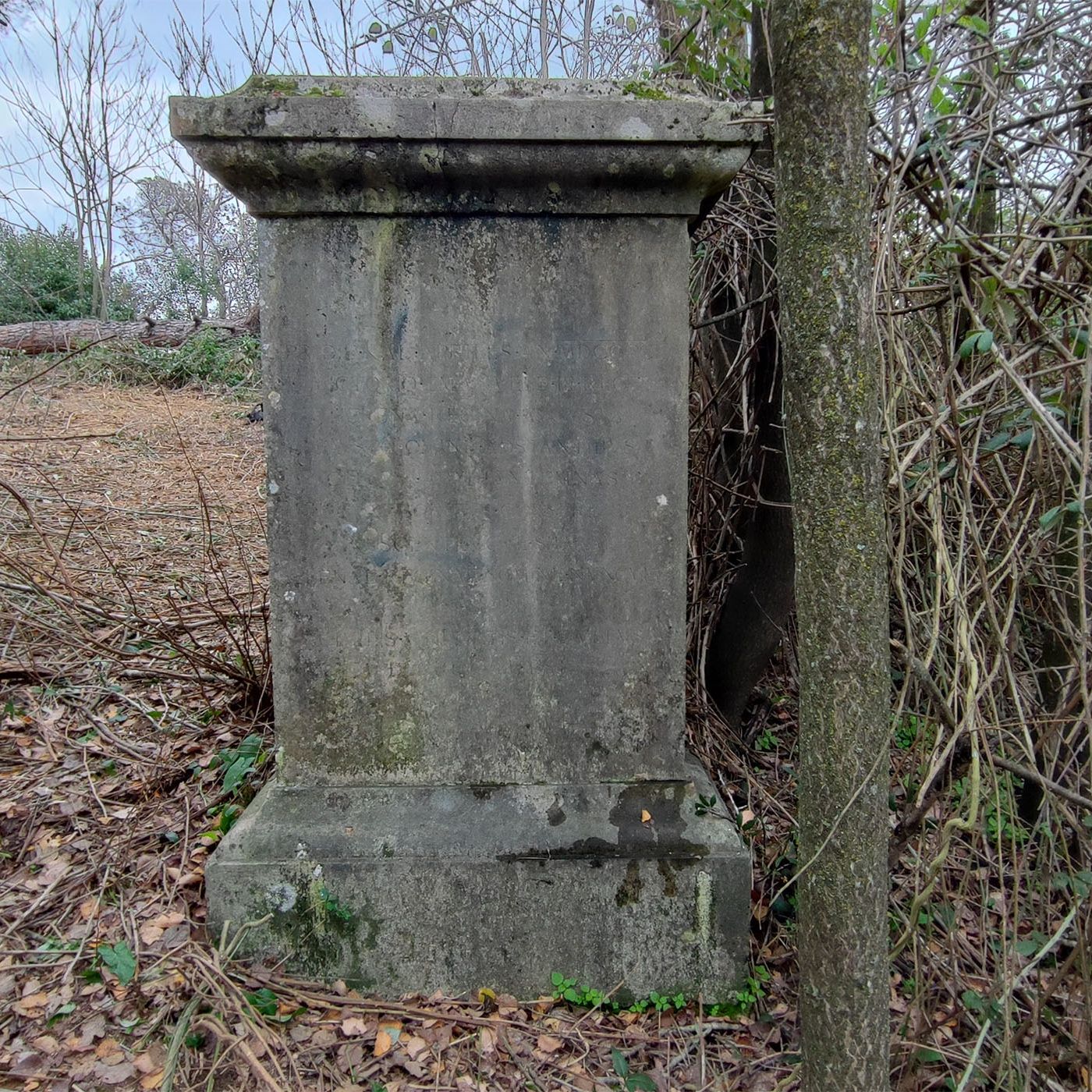 Villa Ada, storia e storie