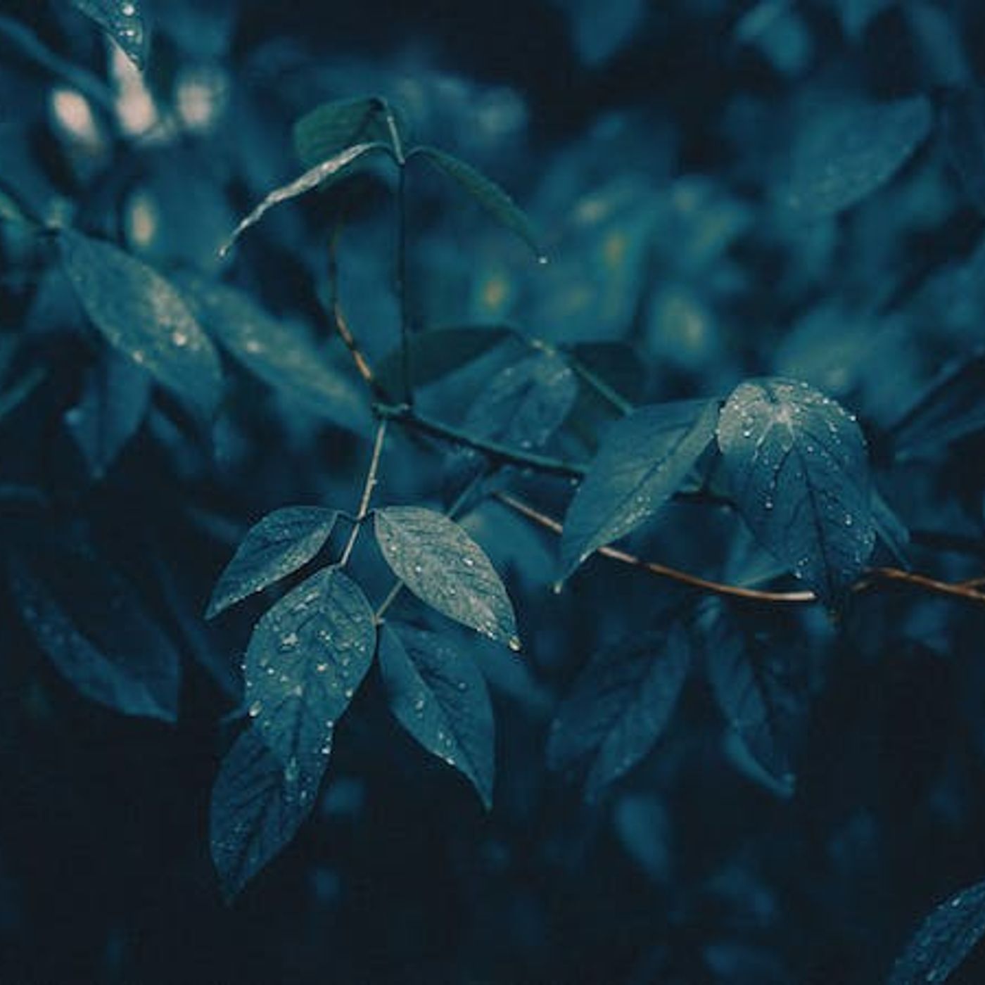 How Do I Battle Subtle Temptations to Lust?