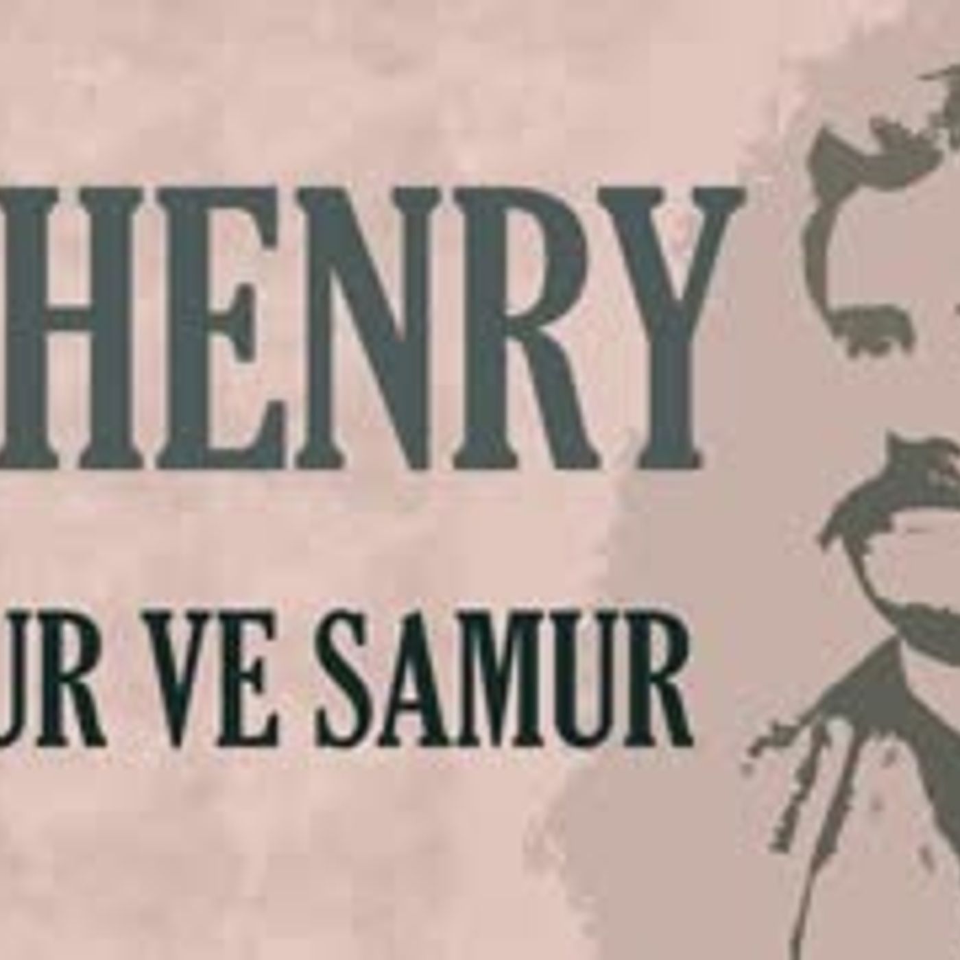 Kitap Okumaları