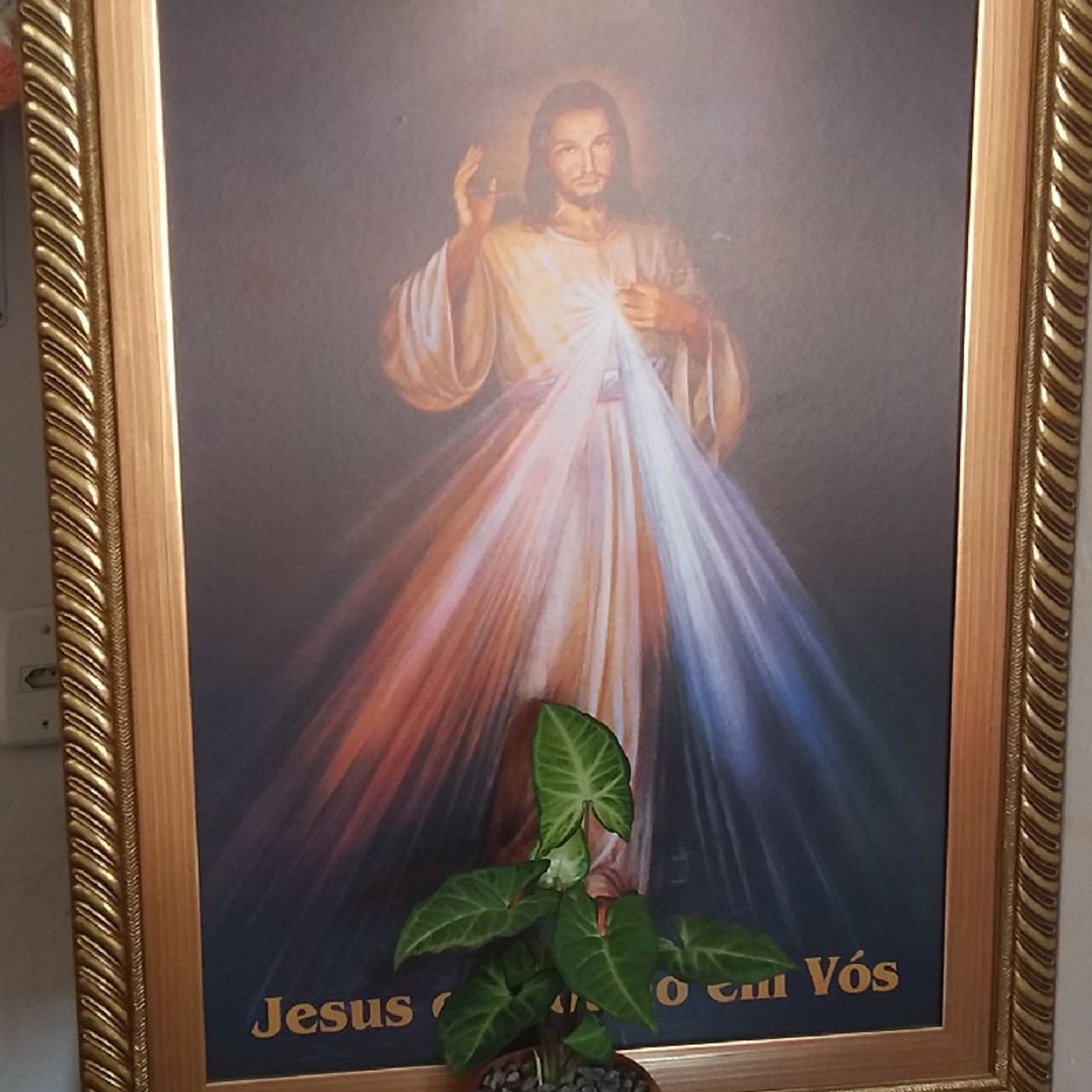 Terço Da Divina Misericórdia episode artwork