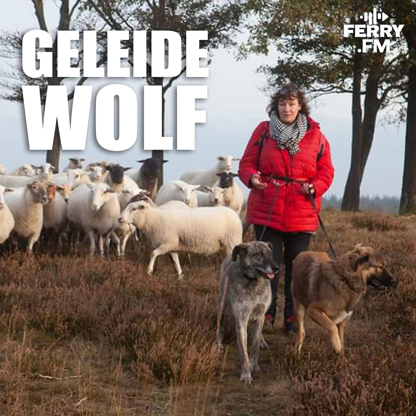 S02E10 Yvette van Veldhuizen: Wolven doen gewoon wat wolven doen